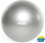 Gymnastický míč s pumpičkou 75 cm VIRTUFIT Anti-Burst šedý