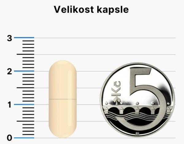 BrainMax Berberin 550 mg 90 kapslí kapsle