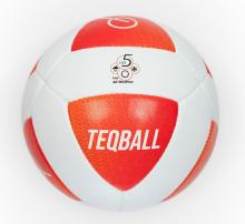 TEQ Teqball Ball